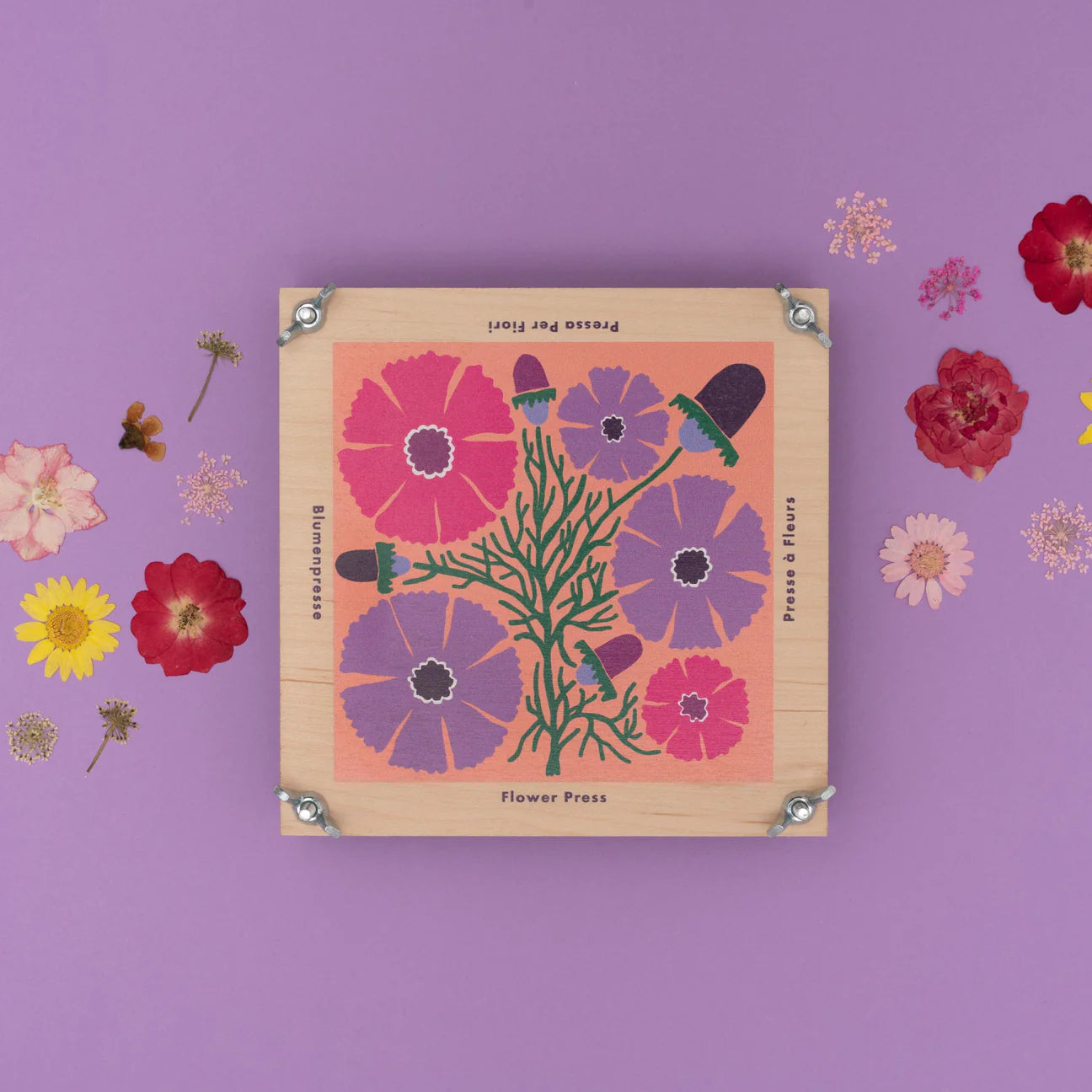 Flower Press | Cosmos