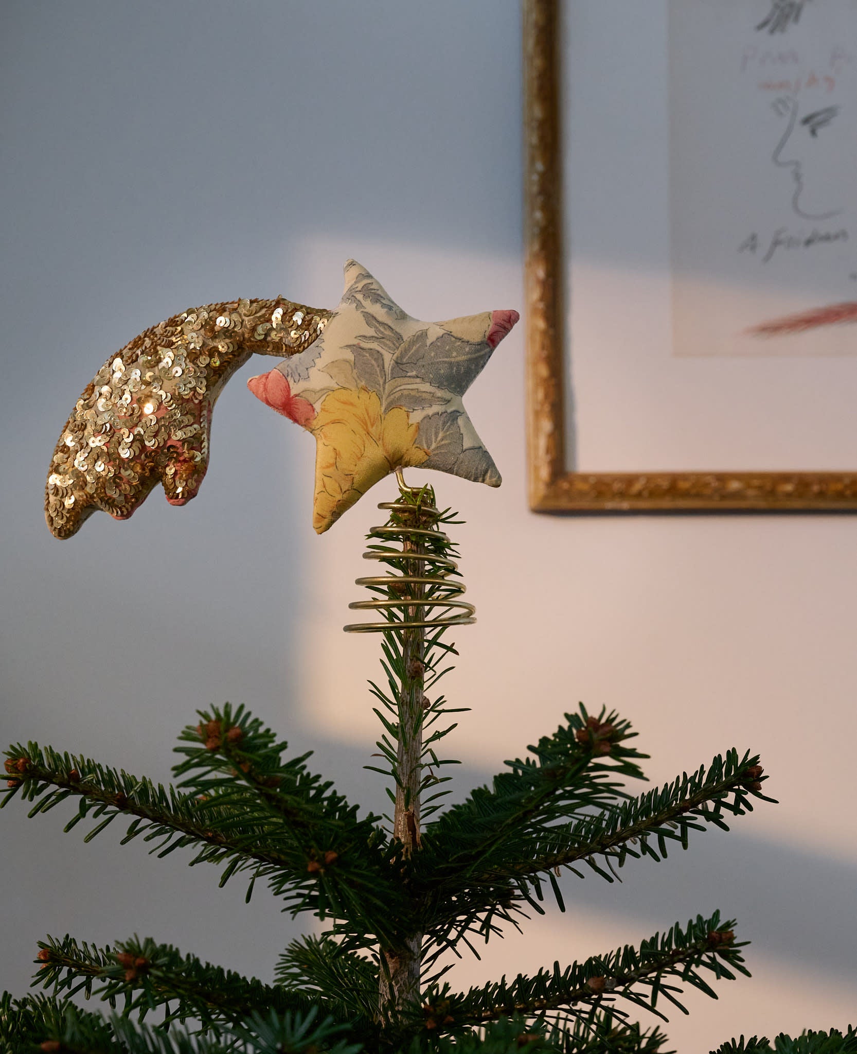 Shooting SILK Top Star