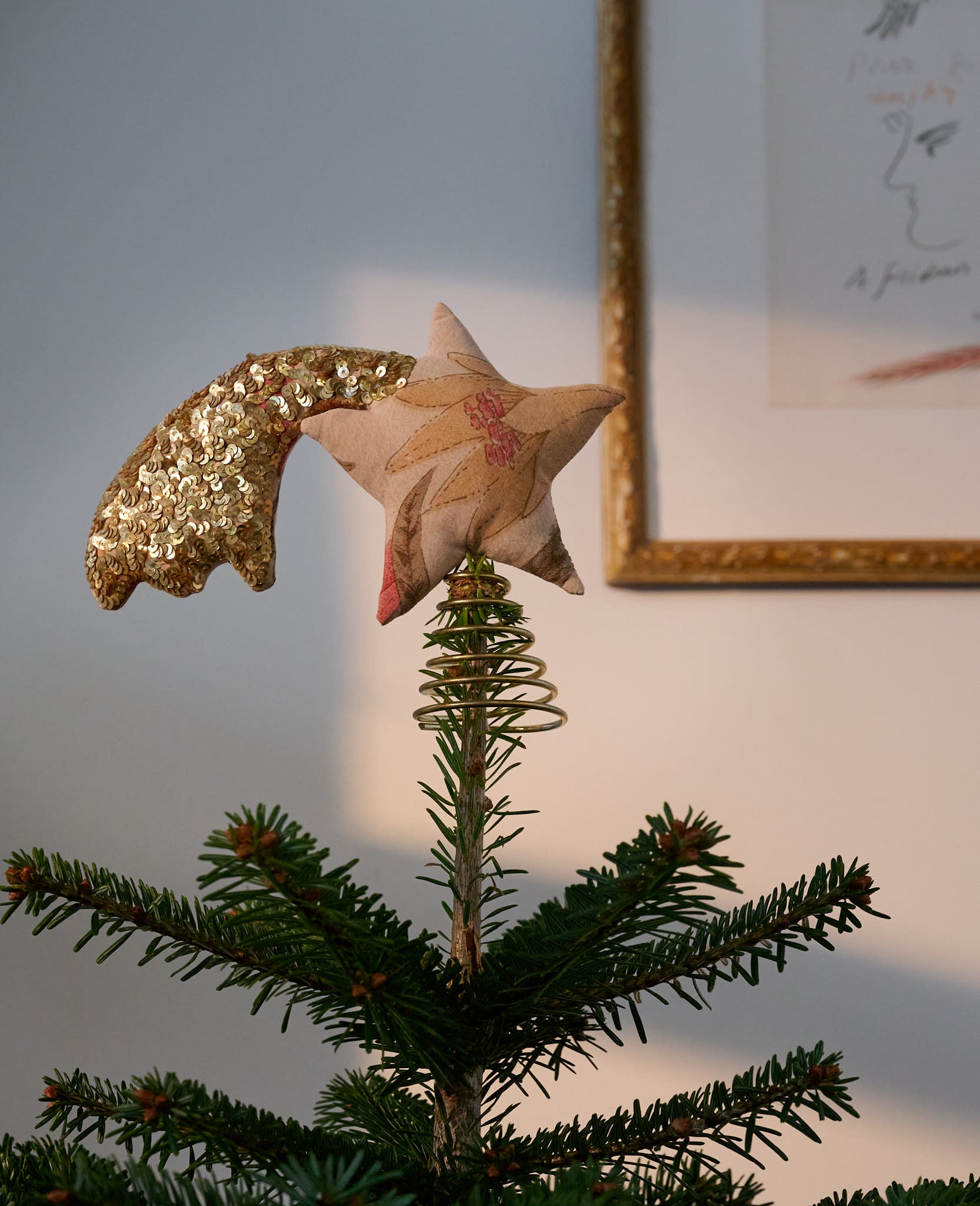 Shooting SILK Top Star