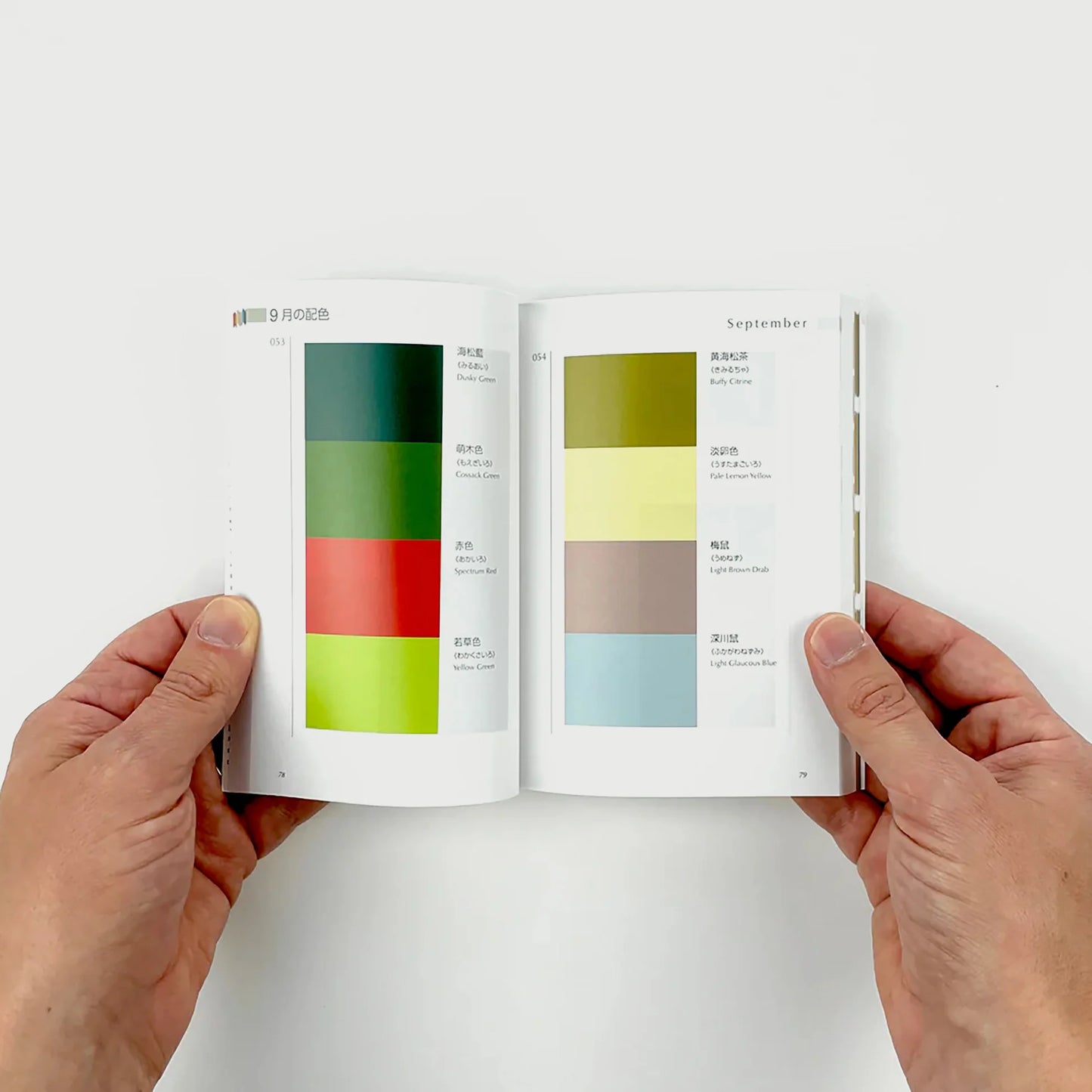 A Dictionary Of Color Combinations Vol 2 (English and Japanese Edition)