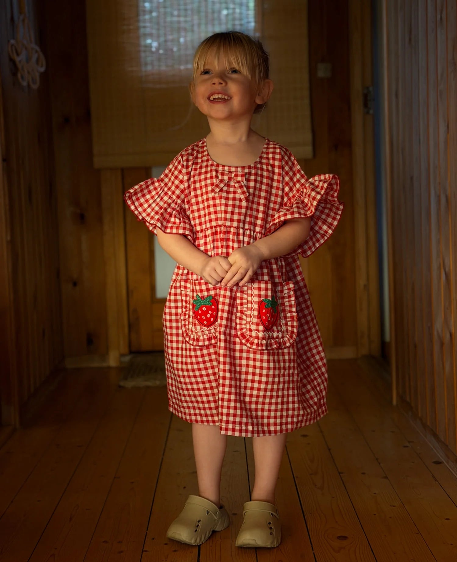 Ohio Dress, Red Checks