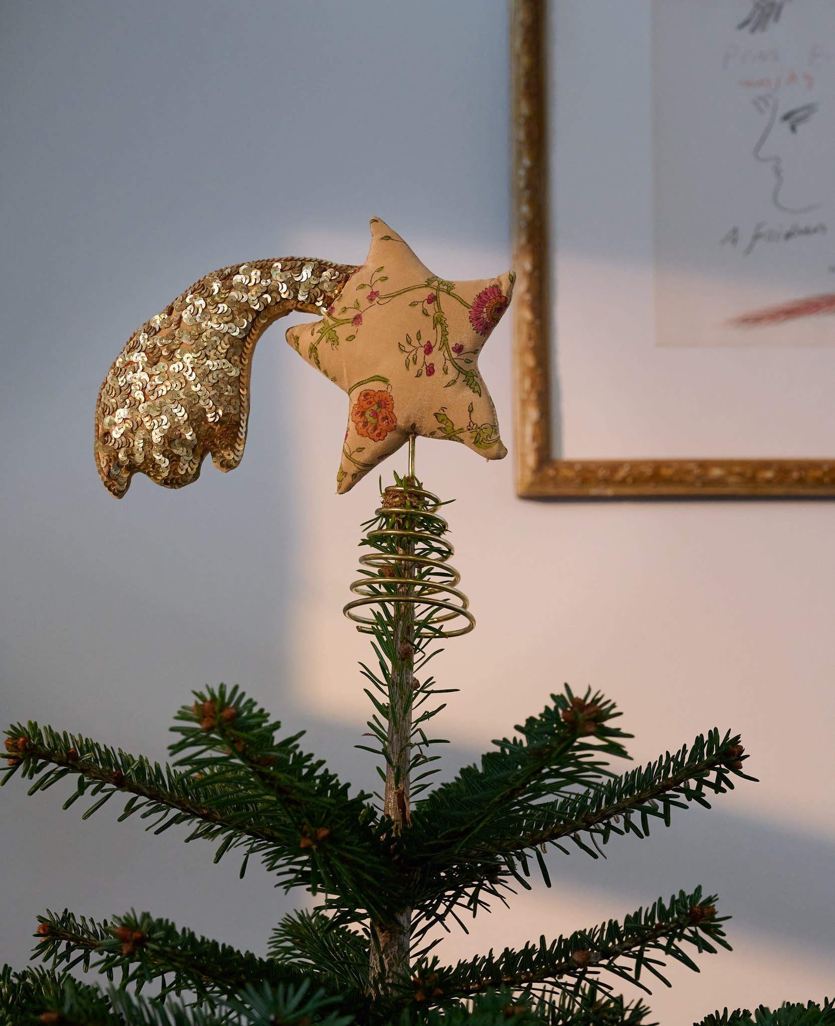 Shooting SILK Top Star