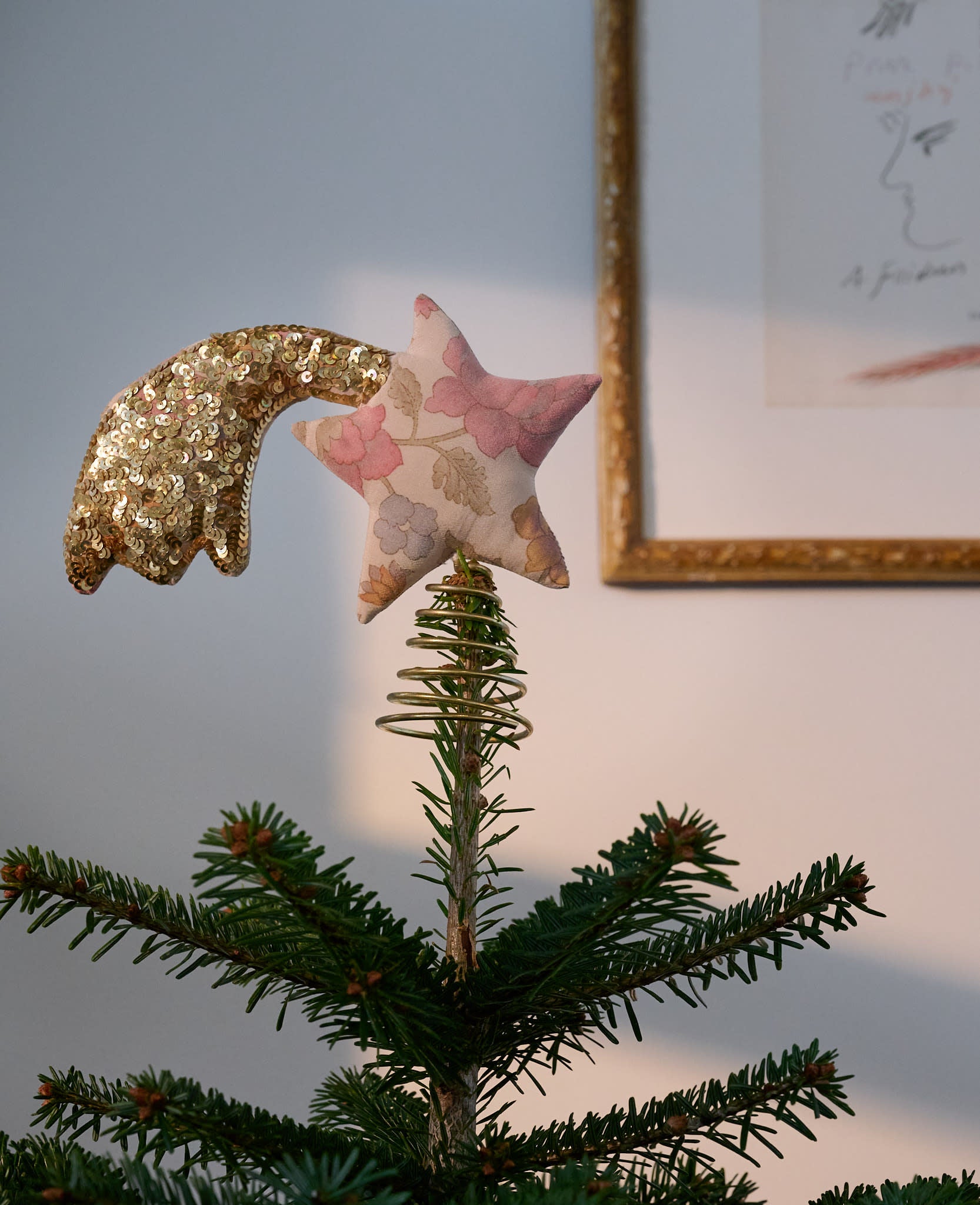 Shooting SILK Top Star