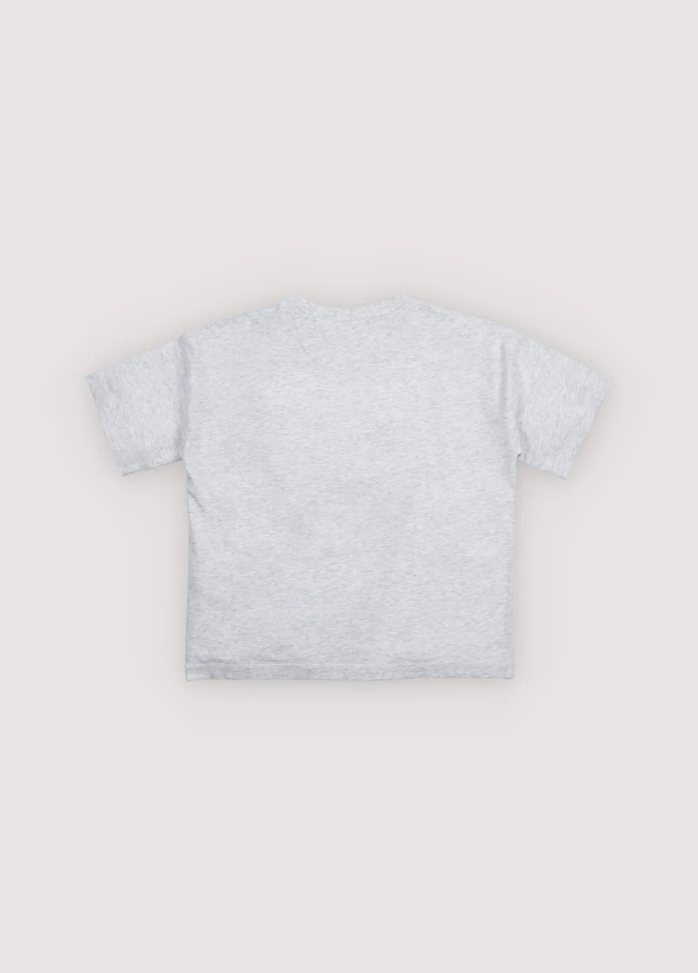 TNS Logo T-Shirt Light Grey Melange